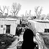Generacion Suicida LP (analog) Regeneracion
