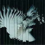 Scaler CD Endlessly