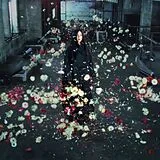 Logic1000 LP (analog) Mother