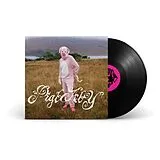 Pigbaby Vinyl I Don't Care If Anyone Listens To This Shit Once Y