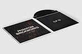 Bibio Vinyl Phantom Brickworks (lp II) (2lp+dl)