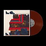 Grizzly Bear Vinyl Painted Ruins