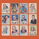 Darren Hayman Vinyl 12 Astronauts
