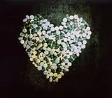 Alkaline Trio CD This Addiction