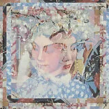 Dutch Uncles CD Out Of Touch In The Wild