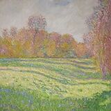 Strawberry Guy CD Sun Outside My Window