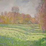 Strawberry Guy CD Sun Outside My Window