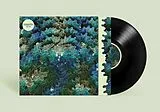 Izangoma LP (analog) Ngo Ma