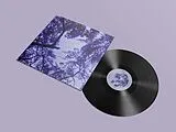 Osu Marysia Vinyl Harp,Beats & Dreams