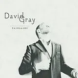 David Gray CD Foundling