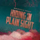 Worldservice Project Vinyl Hiding In Plain Sight