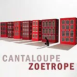 Cantaloupe Vinyl Zoetrope