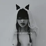 Sylvian David LP (analog) Sleepwalkers