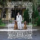 Pet Symmetry LP (Vinyl) Pets Hounds (Vinyl)