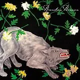 Brendan Benson Vinyl You Were Right (Lp) (Vinyl)
