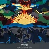 Tunng LP (analog) Songs You Make At Night