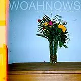 Woahnows Vinyl Understanding And Everything Else (Vinyl)