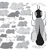 Pet Crow Vinyl A Simple Guide To Small And Medium Pond Life