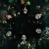 The Mothers Earth Experiment CD The Mothers Earth Experiment