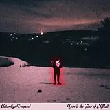 Antarctigo Vespucci Vinyl Love In The Time Of E-mail
