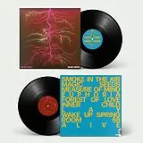 Leifur James LP (analog) Magic Seeds