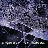 Speed Of The Stars LP (analog) Speed Of The Stars (steve Kilbey & Frank Kearns)