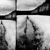 Tenebrous Liar Vinyl The Cut