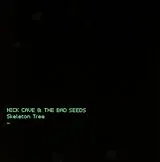 Nick Cave & The Bad Seeds CD Skeleton Tree