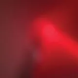 Meat Wave Vinyl Incessant