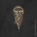 Midas Fall LP (analog) Cold Waves Divide Us (clear Orange & Black Splatte
