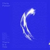 Potter,Chris Vinyl There Is A Tide
