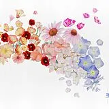 Gretchen Parlato CD Flor