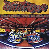 Waterboys CD Room To Roam