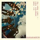 Bananagun CD Why Is The Colour Of The Sky?