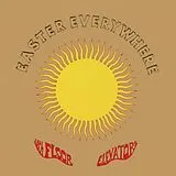 Thirteenth Floor Elevators Vinyl Easter Everywhere