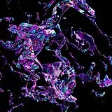 Hauff Helena Vinyl Living With Ladybirds Ep