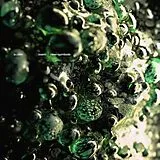 Scaler LP (Vinyl) Loam/New Symbols (Vinyl)