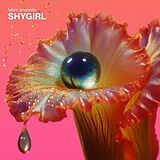 Various Artists Feat. Shygirl Vinyl Fabric Presents Shygirl