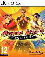 Cobra Kai 2: Dojo`s Rising [PS5] (D) als PlayStation 5-Spiel