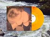 Lichen Vinyl In My Dreams You Were Golden