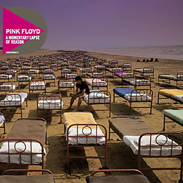 Pink Floyd CD A Momentary Lapse Of Reason