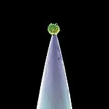 Peter Gabriel CD New Blood