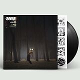 Geese Vinyl Projector