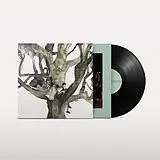 Destroyer Vinyl Labyrinthitis