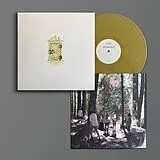 Liars Vinyl Sisterworld