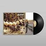 Beach House LP (analog) Beach House