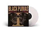 Black Pumas LP (analog) Chronicles Of A Diamond