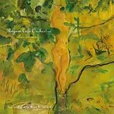 Penguin Cafe Orchestra Vinyl When In Rome (live)