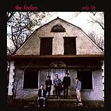 Feelies,The Vinyl Only Life