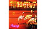 Turbostaat Vinyl Flamingo